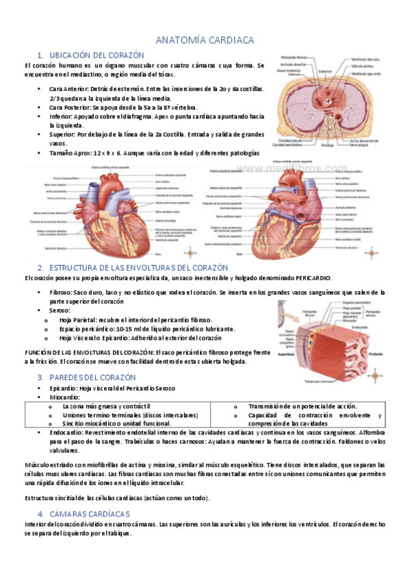 Miniatura del documento Tema-3.pdf