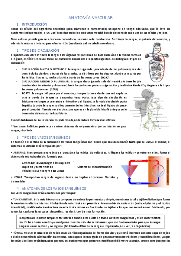 Miniatura del documento Tema-4.pdf