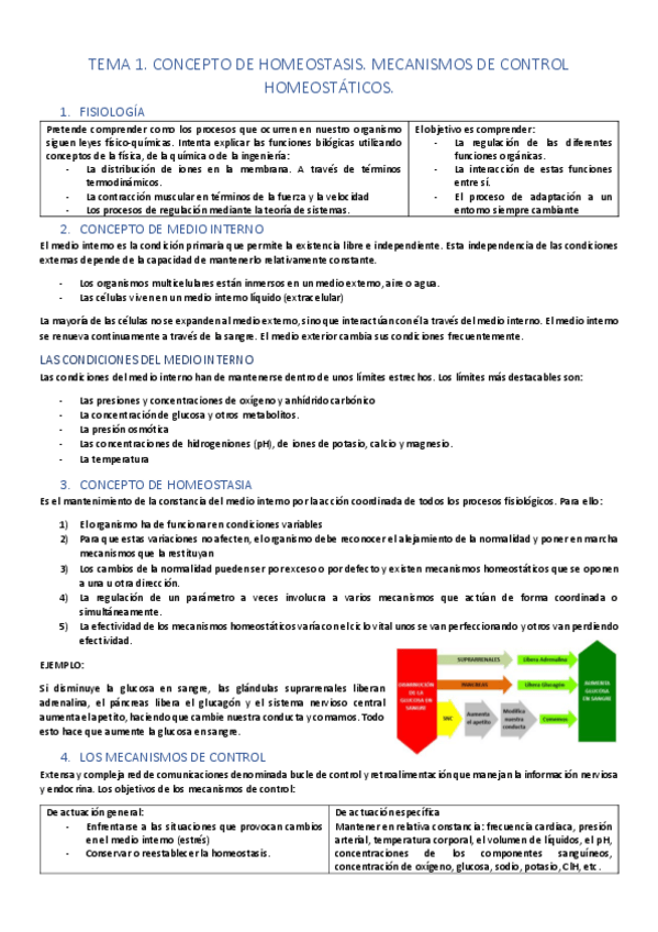 Miniatura del documento Tema-1.pdf