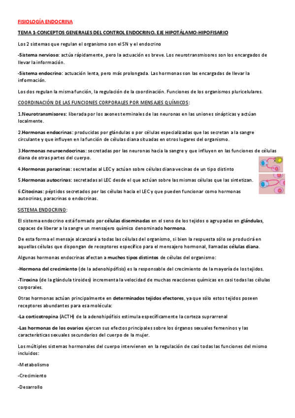 Miniatura del documento FISIOLOGIA-ENDOCRINA.pdf