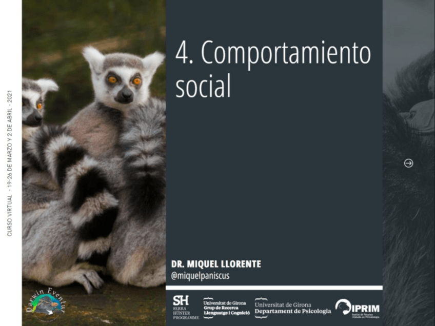 Miniatura del documento 4-Comportamiento-social.pdf