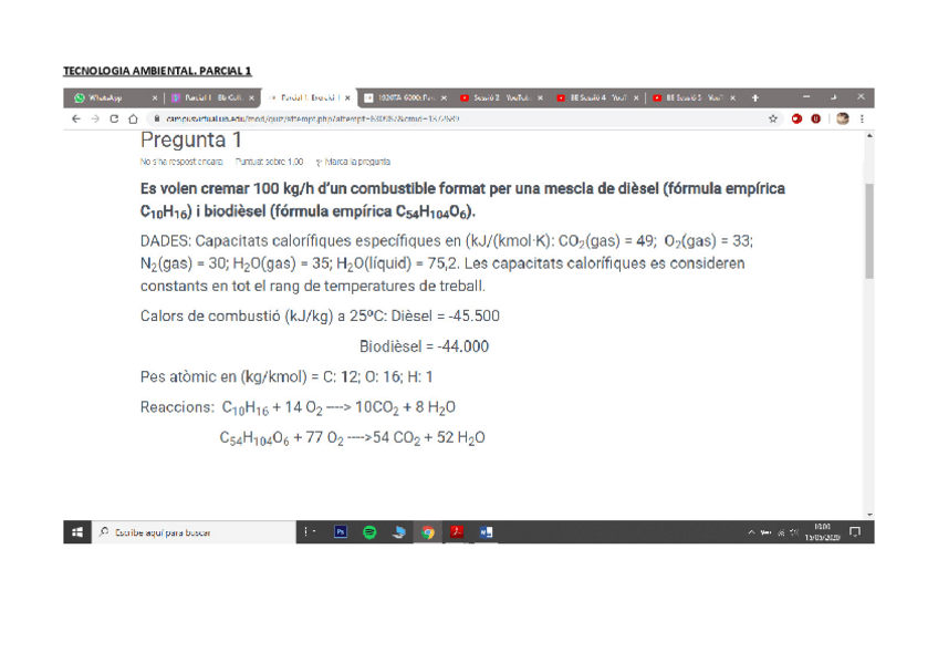 Miniatura del documento parcial-1.pdf