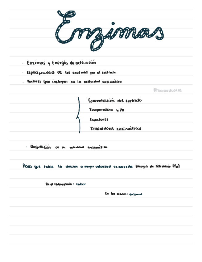 Miniatura del documento Enzimas.pdf