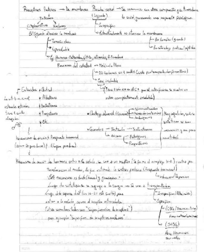 Miniatura del documento Hormonas-esteroideas.pdf