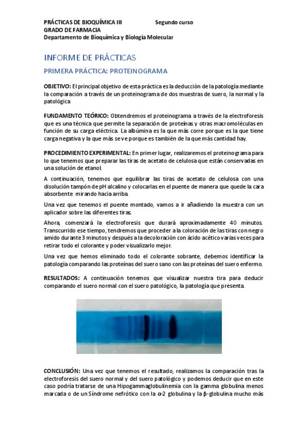 Miniatura del documento INFORME-PRACTICAS-BIOQUIMICA-III.pdf