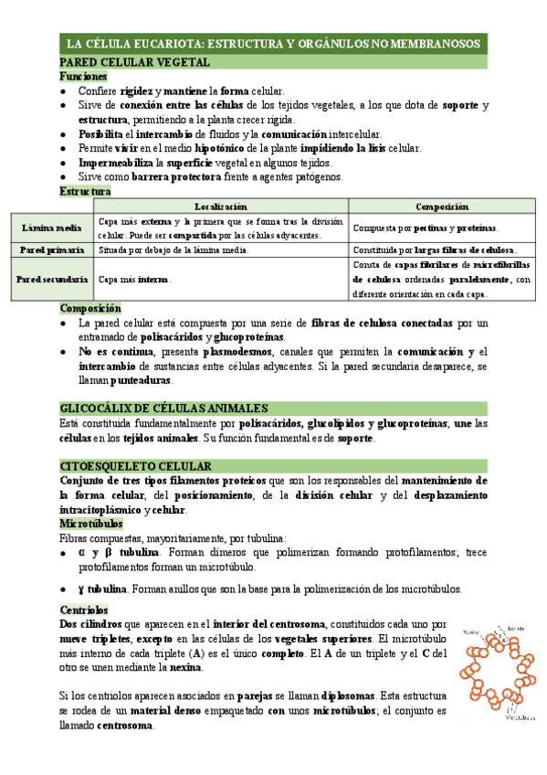 Miniatura del documento ORGANULOS-NM.pdf