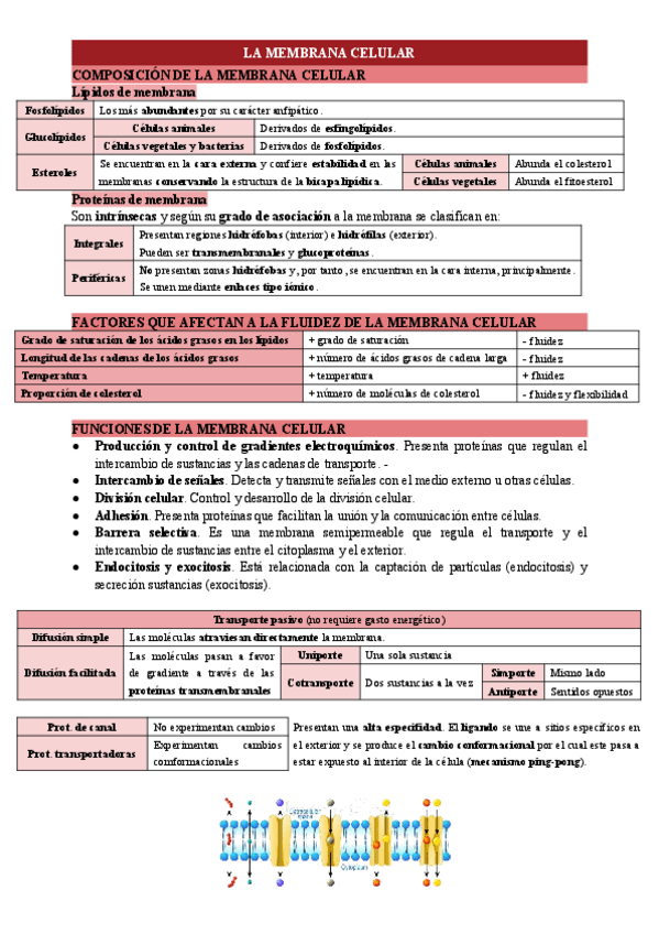 Miniatura del documento LA-MEMBRANA-CELULAR.pdf