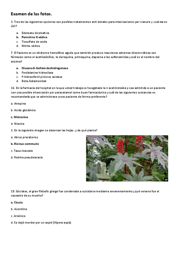 Miniatura del documento Examen-Fotos.pdf