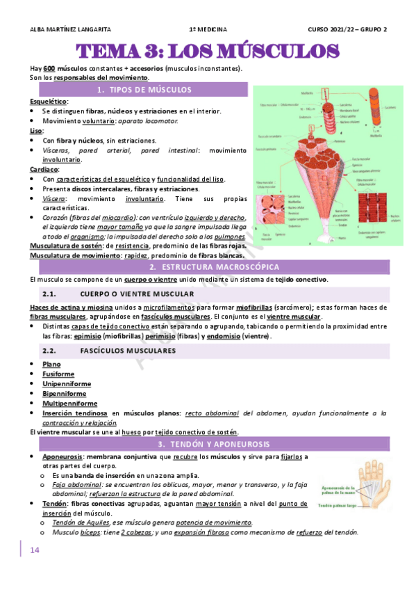 Miniatura del documento 2.pdf