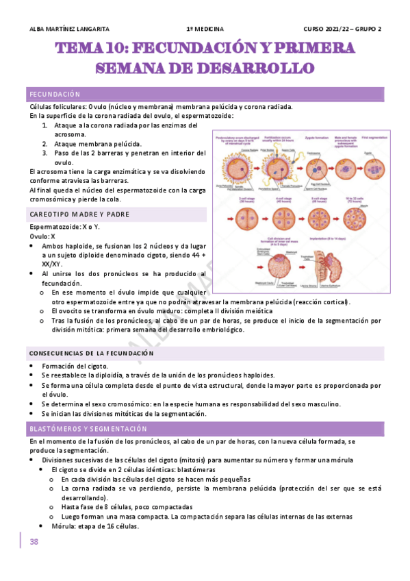 Miniatura del documento 4.pdf