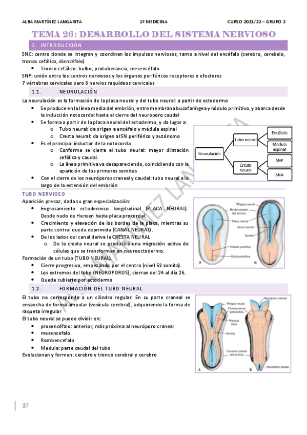 Miniatura del documento 5.pdf