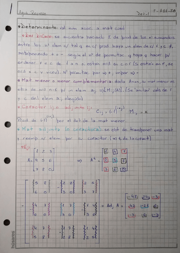 Miniatura del documento Determinantes-Algebra-y-Geometria-Analitica.pdf