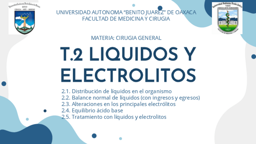 Miniatura del documento cirugia.pdf