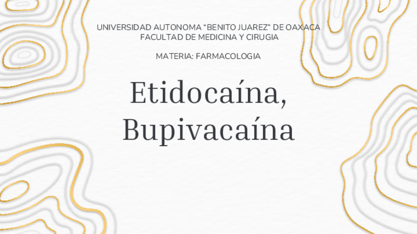 Miniatura del documento Etidocaina-Bupivacaina.pdf