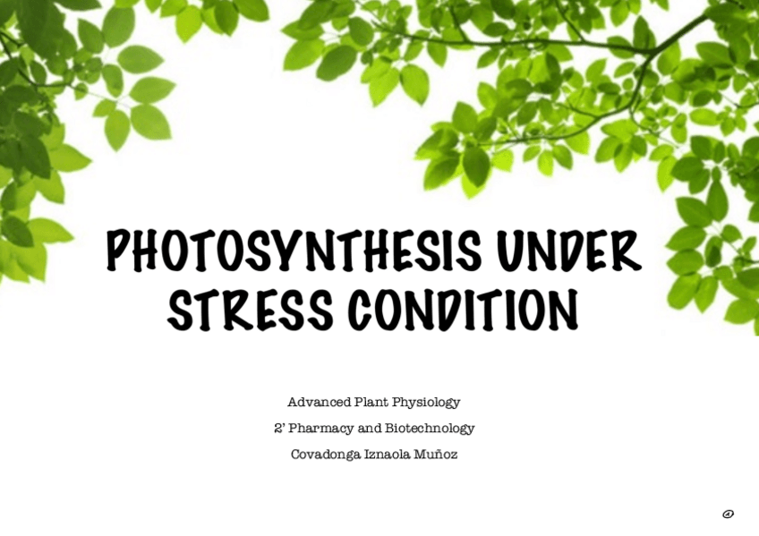 Miniatura del documento Workshop-1-Photosynthesis-Under-Stress-Condition.pdf