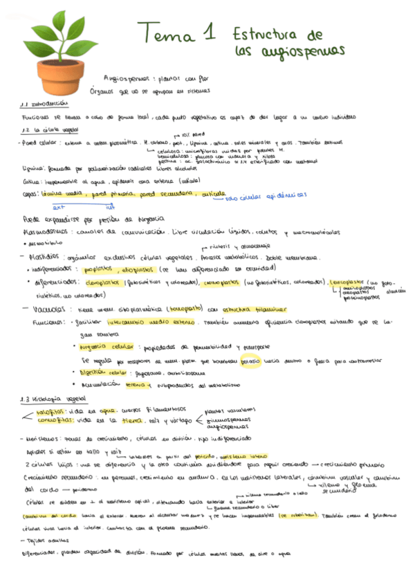 Miniatura del documento tema-1.pdf