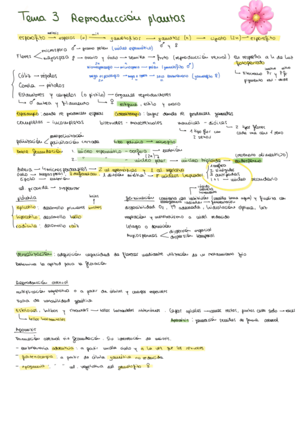 Miniatura del documento tema-3.pdf