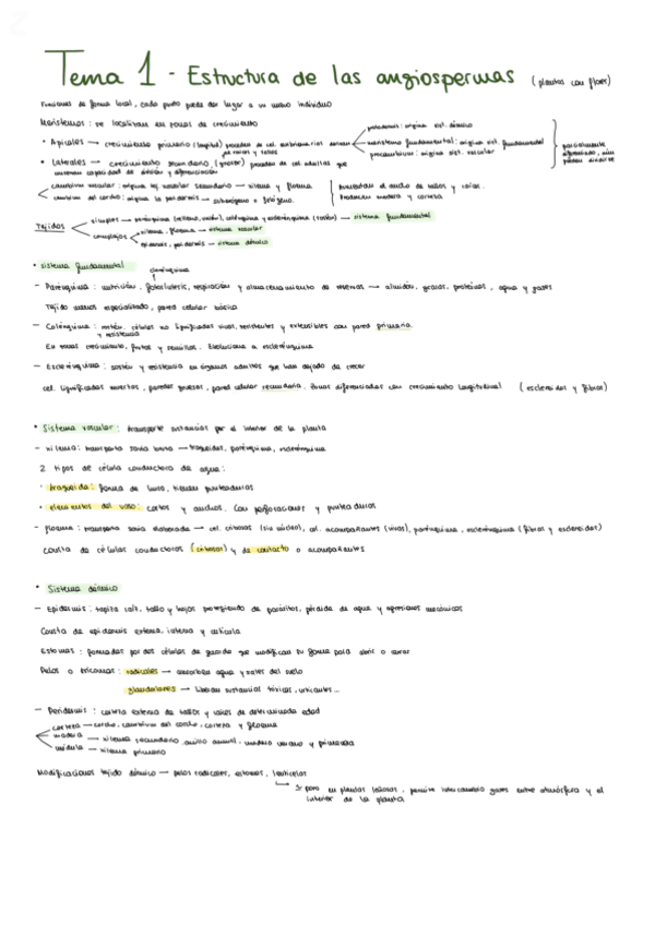 Miniatura del documento tema-1.pdf