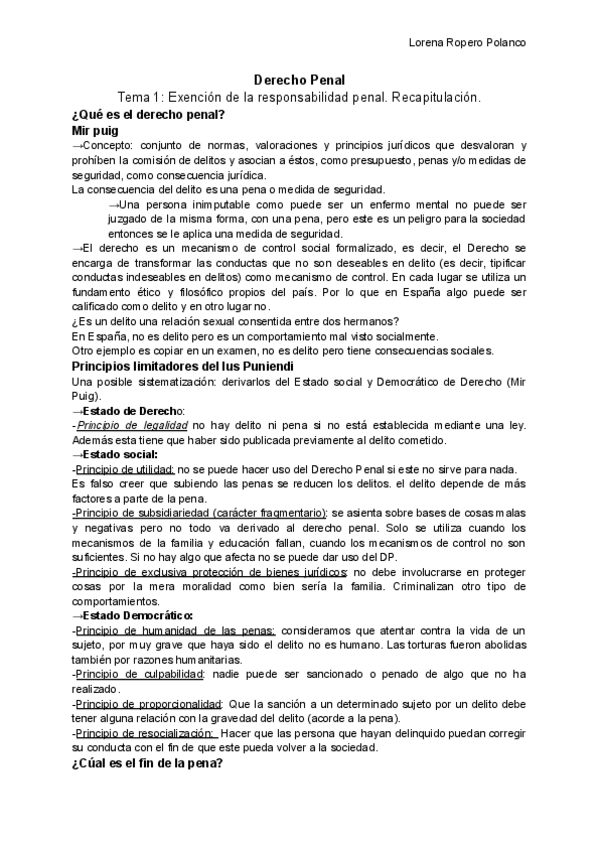 Miniatura del documento Dret-Penal-Exempcio-de-la-Responsabilitat.pdf