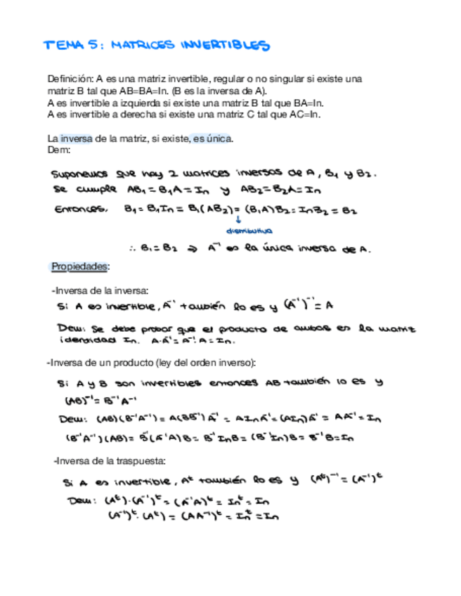 Miniatura del documento tema-5-matrices-invertibles.pdf