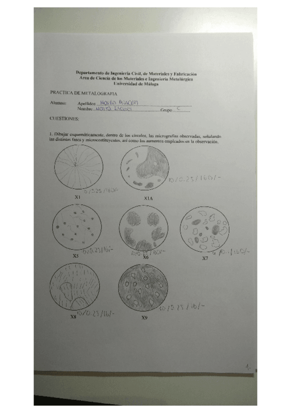 Miniatura del documento MARTIN_ROSALES_MARTA ISABEL.pdf. (2).pdf