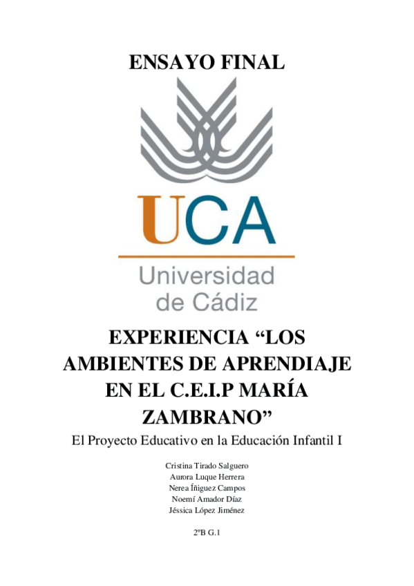 Miniatura del documento ENSAYO-FINAL.pdf