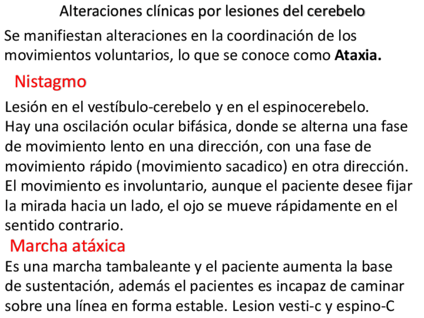 Miniatura del documento Motor-II-NEUROFISIOLOGIA-2.pdf