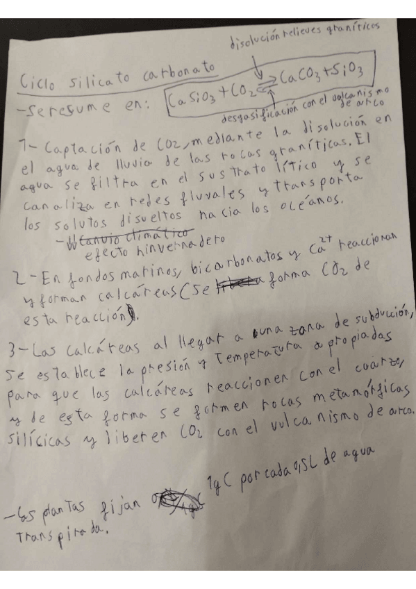 Miniatura del documento Ciclo-silicato-carbonato.pdf