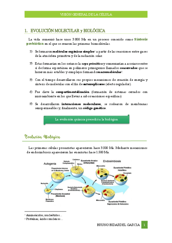 Miniatura del documento Vision-general-de-la-celula.pdf