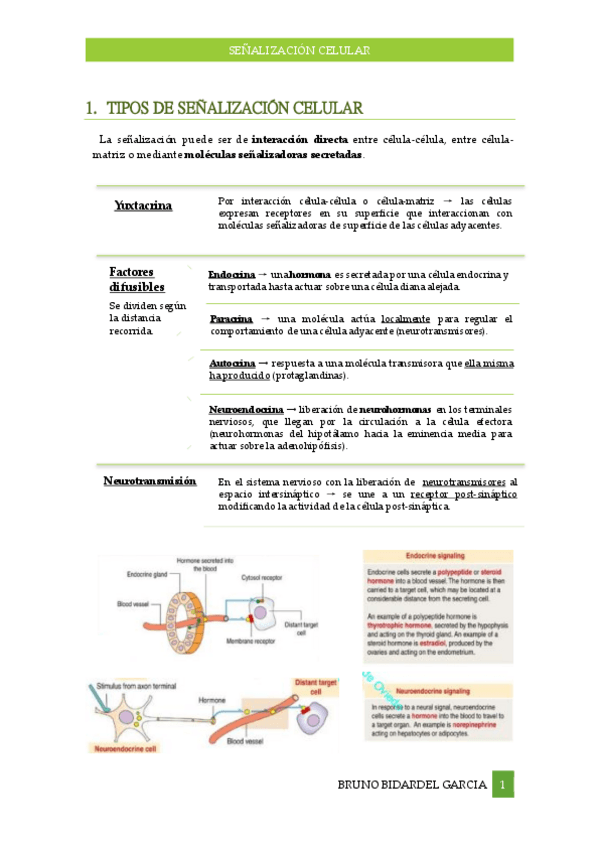 Miniatura del documento Senalizacion-celular.pdf