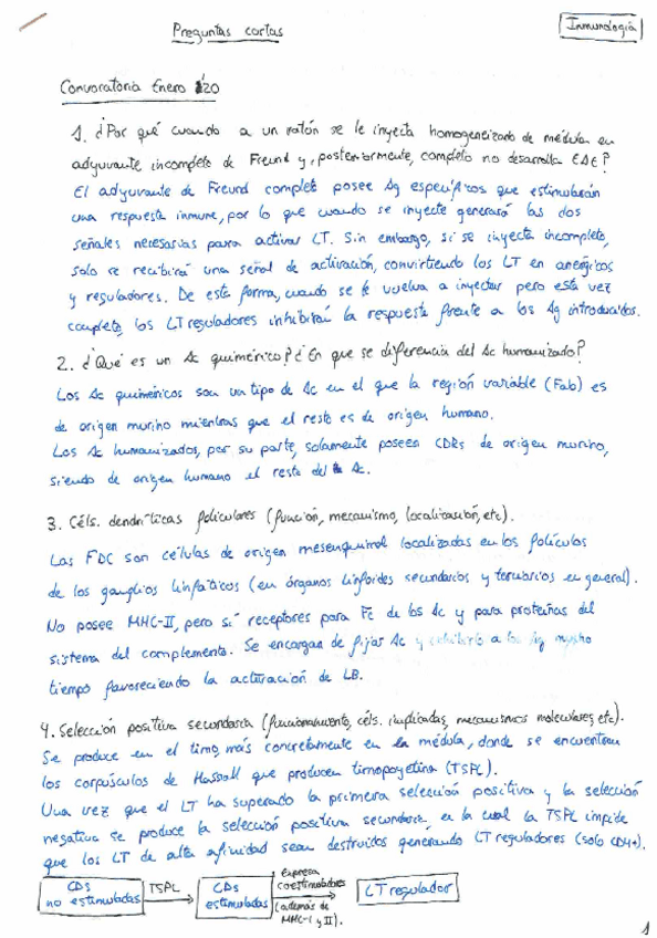 Miniatura del documento Posibles-preguntas.pdf