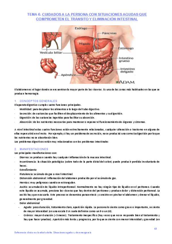 Miniatura del documento Bloque-VI-alteraciones-de-la-eliminacion.pdf