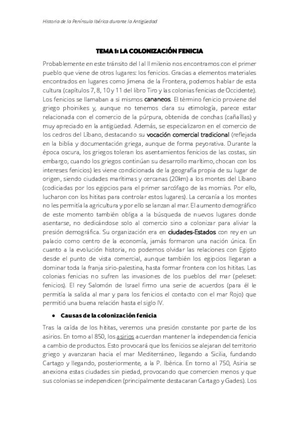 Miniatura del documento FENICIOS.pdf