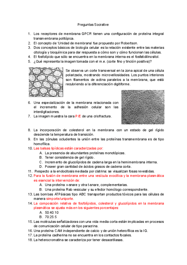 Miniatura del documento Preguntas Socrative