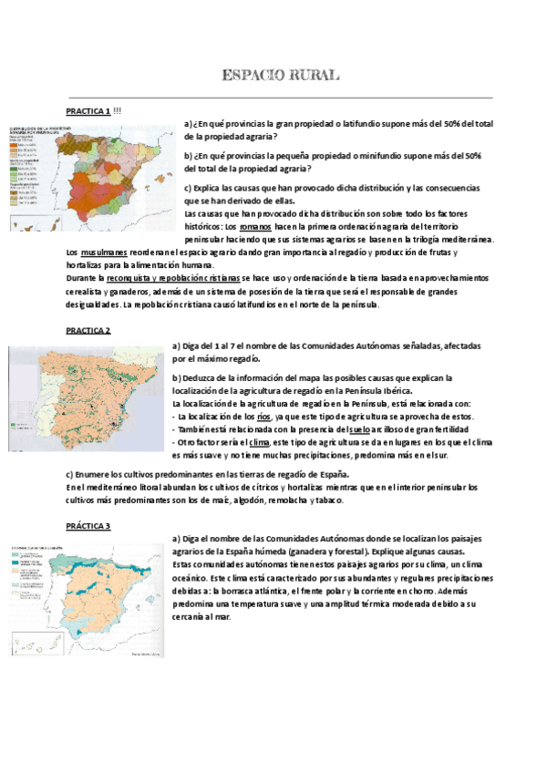 Miniatura del documento PRÁCTICAS VARIOS TEMAS