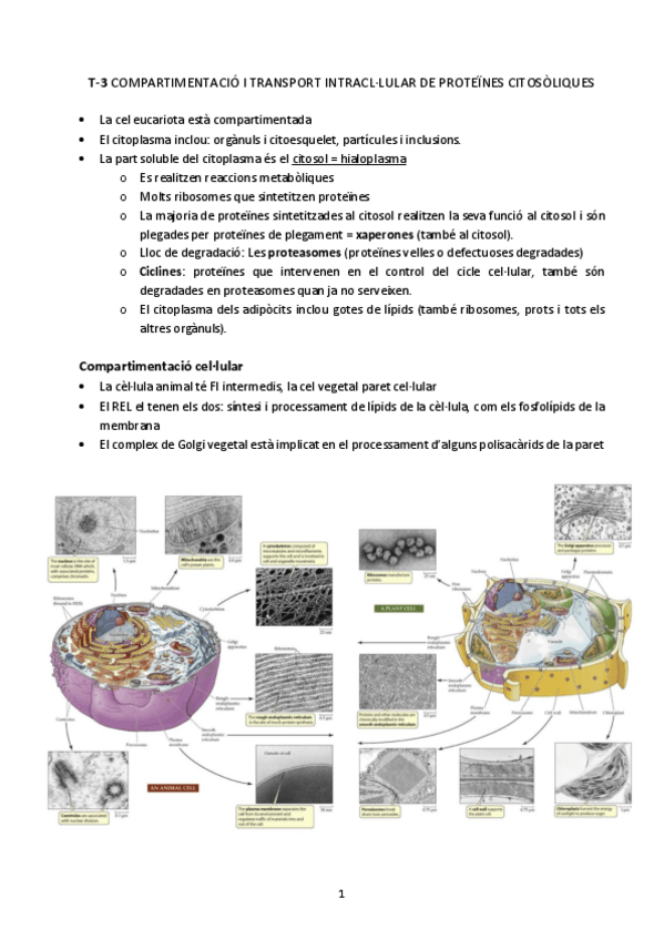 Miniatura del documento T-3.1 Compartimentació.pdf