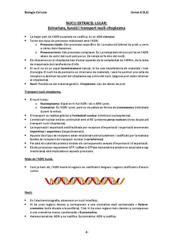 Miniatura del documento T-3.2 Nucli.pdf
