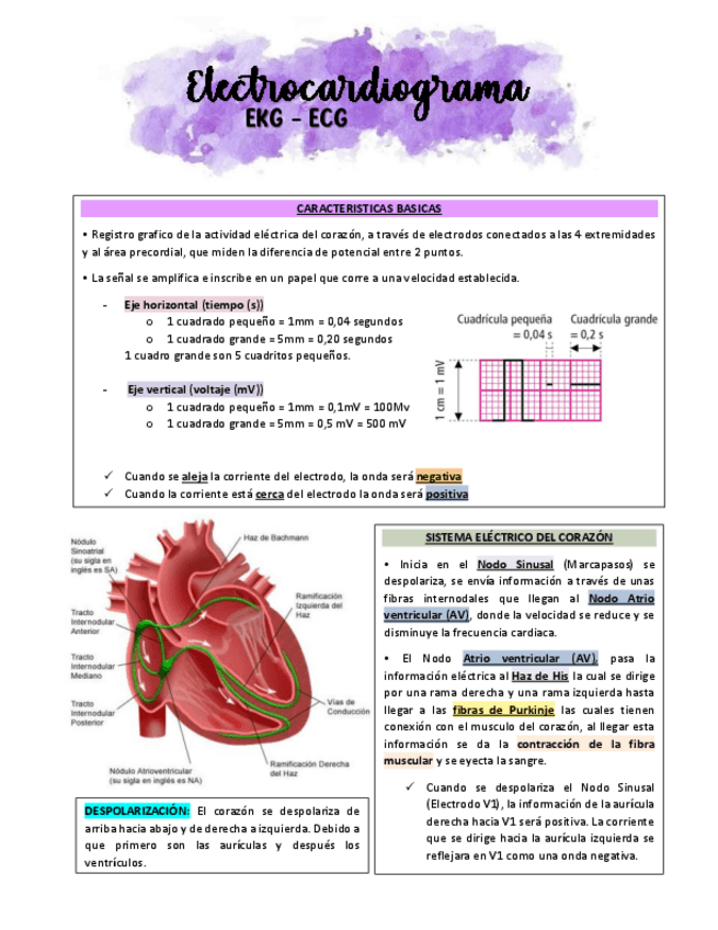 Miniatura del documento Electrocardiograma.pdf