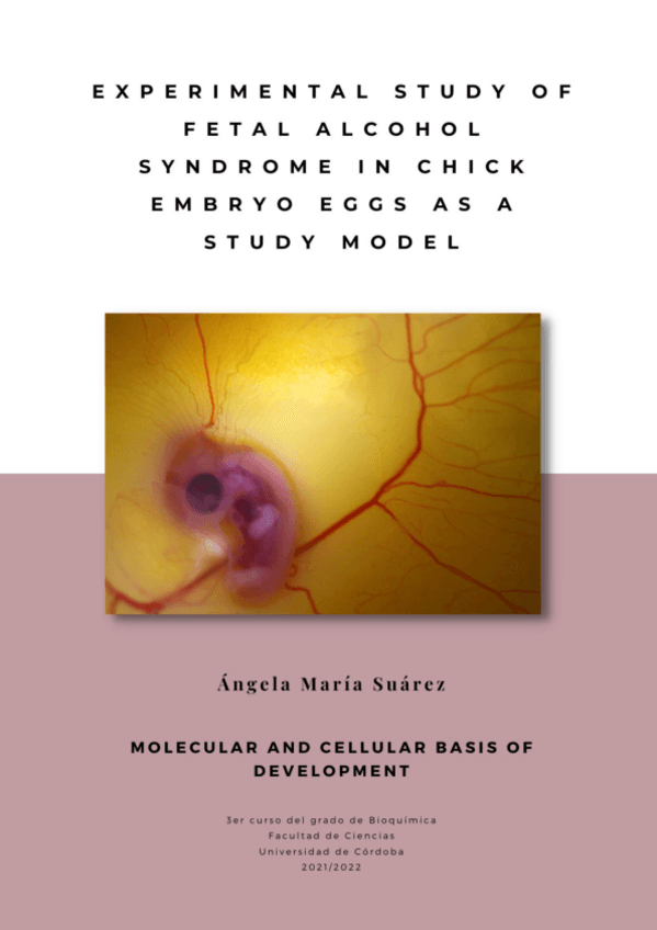 Miniatura del documento MariaSuarezAngelaFASdef.pdf