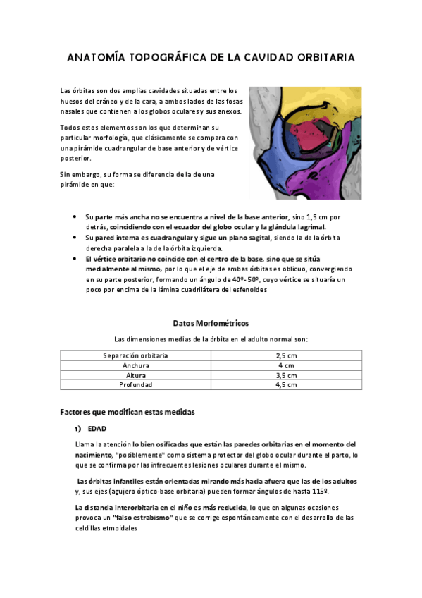 Miniatura del documento ANATOMIA-TOPOGRAFICA-DE-LA-CAVIDAD-ORBITARIA.pdf