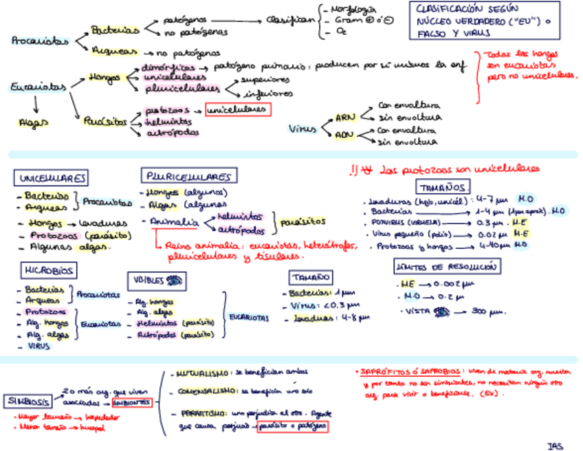 Miniatura del documento Esquema-generalidades-1.pdf