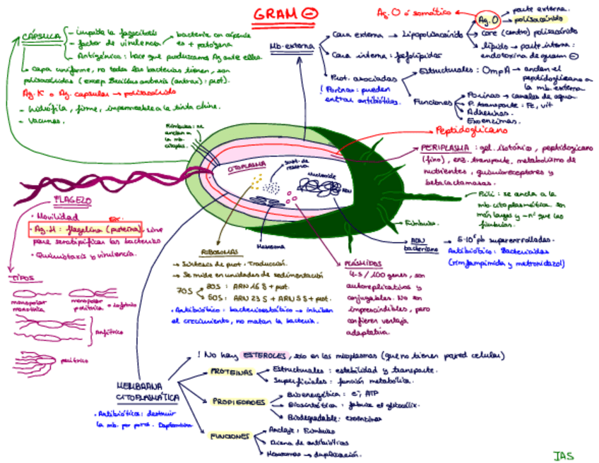 Miniatura del documento Esquema-Gram-1.pdf