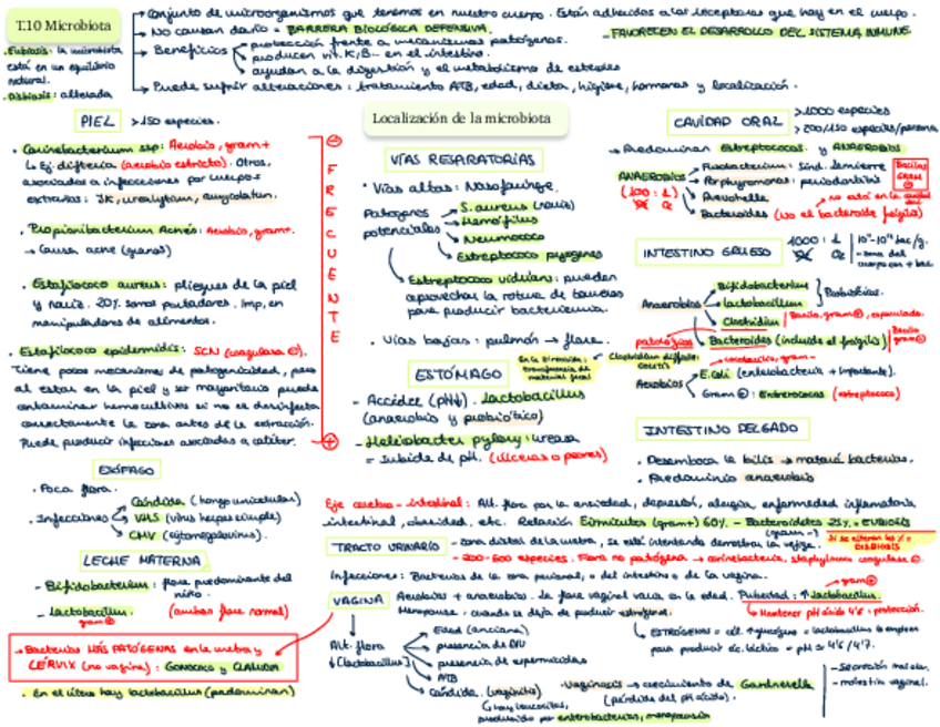 Miniatura del documento T.pdf