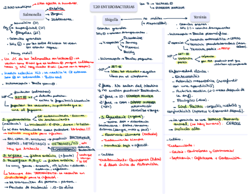 Miniatura del documento T.pdf