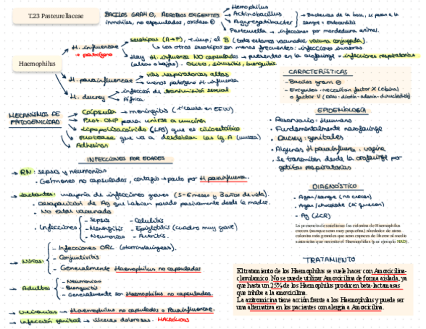 Miniatura del documento T.pdf