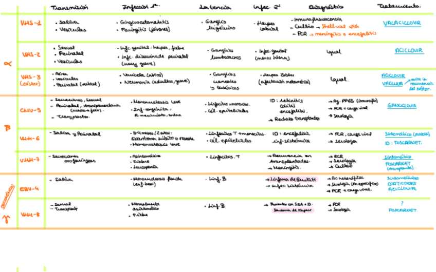 Miniatura del documento Herpes.pdf
