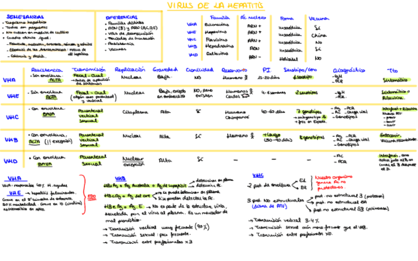 Miniatura del documento Hepatitis.pdf