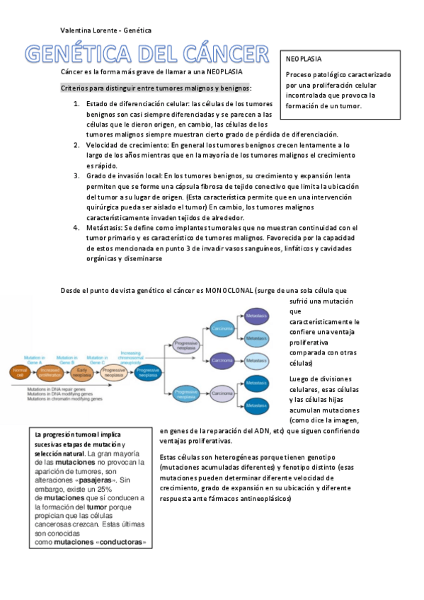 Miniatura del documento Cancer.pdf
