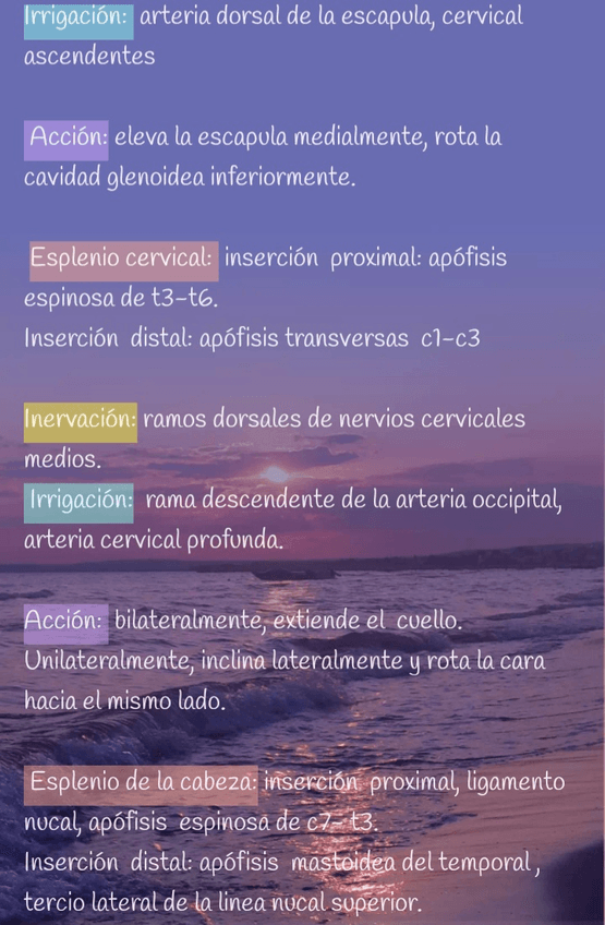 Miniatura del documento Screenshot20220719-145413Easy-Notes.jpg