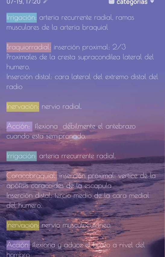 Miniatura del documento Screenshot20220719-181007Easy-Notes.jpg